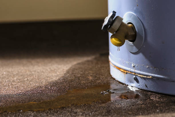 Best Water damage contractors near me  in Bayside, WI
