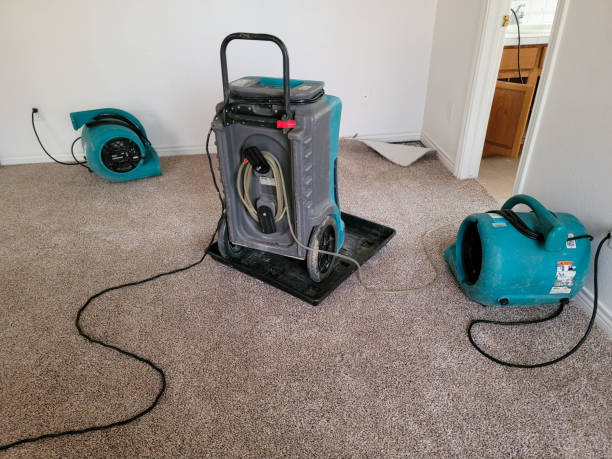  Bayside, WI Water damage restoration Pros