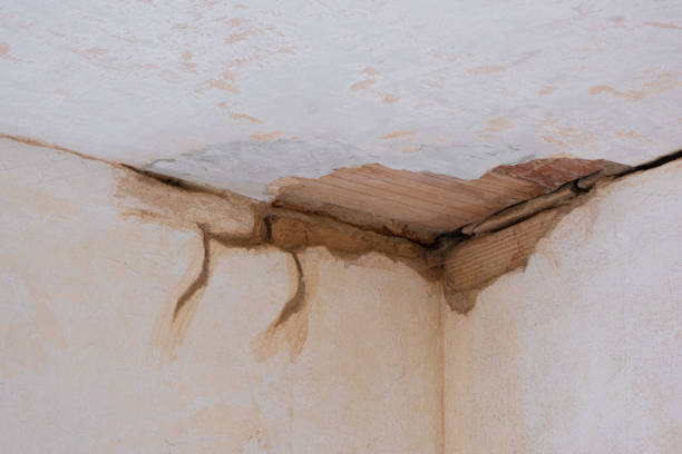 Best Water damage restoration process  in Bayside, WI