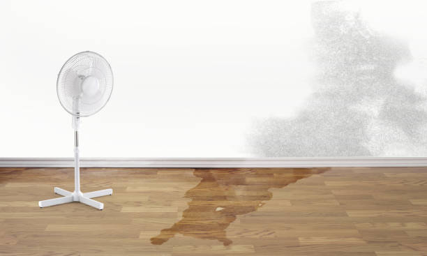 Best Emergency water damage restoration  in Bayside, WI