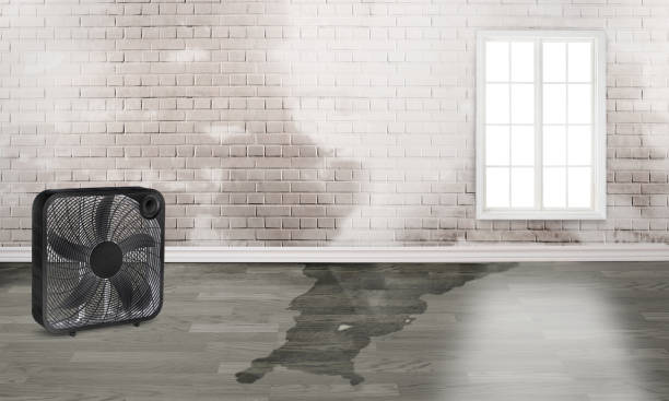 Best Ceiling water damage repair  in Bayside, WI
