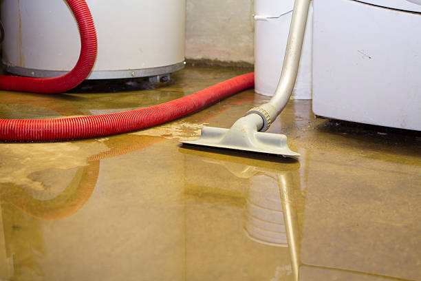 Best Basement water damage restoration  in Bayside, WI