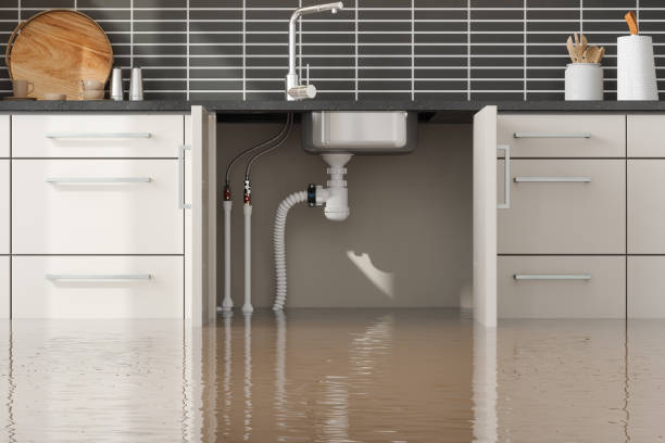 Best Flooded house restoration  in Bayside, WI