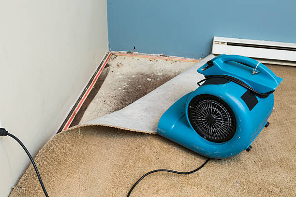 Best Water damage mitigation services  in Bayside, WI